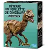 Image de Deterre ton dinosaure Velociraptor - Graine creative