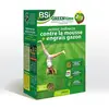 Image de BSI Greentime