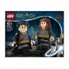 Image de Lego 76393