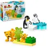 Image de Lego Duplo Ma ville 10442 - Animaux