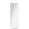 Image de Grand miroir en fer couleur laiton 45 x 159 cm Adorn - Ferm Living