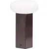 Image de Lampe portable en nickel brossé marron Low - Hübsch