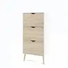 Image de Meuble à chaussures armoire - Blanc