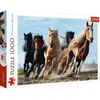 Image de Trefl Puzzle 1000 pièces chevaux au galop