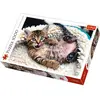 Image de Trefl Puzzle chaton 1000 pièces