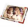 Image de Trefl puzzle adulte chat endormi
