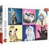Image de Trefl Puzzle adultes chatons 500 pièces