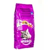 Image de Whiskas Adulte Thon