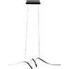 Image de Suspension LED Loop design moderne noire 28W Milagro