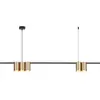 Image de Suspension barre noir/or 5 spots GU10 Milagro Genesis