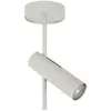 Image de Plafonnier rond gris-beige spot orientable GU10 LEDA