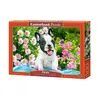 Image de Puzzle chiot bouledogue français - 500 pièces