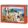 Image de Puzzle 1000 pièces Selfie de lamas