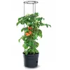 Image de Pot de fleurs rond - Anthracite
