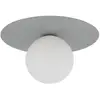 Image de Plafonnier Globe Gris 1xG9
