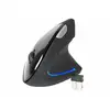 Image de Flipper Noire