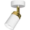 Image de Spot plafond/mur orientable blanc or GU10 15W Luminex