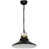 Image de Suspension industrielle noire laiton Iron E27 Luminex