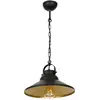 Image de Suspension industrielle noir/or chaîne 1xE27 15W Luminex