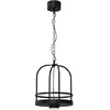 Image de Suspension industrielle noire cage 1xGX53 15W Zona Luminex