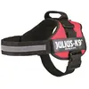 Image de Julius-K9 Power Rouge