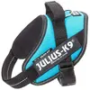 Image de Julius K9 IDC Mini - Aquamarine