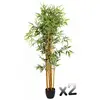 Image de Plantes Bambou Pegane (Lot de 2) - 180 cm