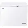 Image de Haier HCE301E