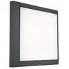 Image de Applique extérieure HELENA gris LED 20W IP54 Lutec