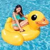 Image de Intex bouée canard enfant