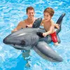 Image de Intex requin gonflable à chevaucher