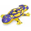 Image de Bestway Bouée chevauchable salamandre - 180 x 112 cm