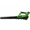 Image de Greenworks Souffleur de feuilles avec batterie 40V