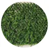 Image de Jet7garden Brise-vue 2 x 2 m