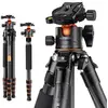 Image de K&F Trépied Pro carbone + Rotule BH-36L