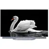 Image de Haier C90 2024 - OLED 4K