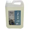 Image de SHAMPOO HAGERTY 5* 5L CONCENTRE HAGERTY - A100429