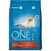 Image de Purina One Bifensis 3 kg