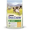 Image de Dog Chow Croquettes Poulet