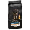 Image de PRO PLAN-Croquettes Chien   Pro Plan Large Adulte Robuste Poulet - 14 kg