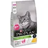 Image de Pro Plan Optidigest - 1,5 Kg