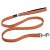 Image de Laisse pour chien basique Curli Orange L PN1451