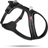 Image de Harnais pour chien confort Curli Belka Noir S PN2252