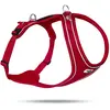 Image de Harnais pour chien confort Curli Belka Rouge XS PN2261