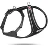Image de Harnais pour chien confort magnétique Curli Belka Noir L PN2607