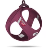Image de Harnais pour chien Curli Air-Mesh Violet L PN2807