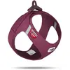 Image de Harnais pour chien Curli Air-Mesh Violet XL PN2808