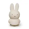 Image de L'Atelier Pierre Tirelire Miffy Uni