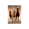 Image de Clementoni Puzzle 1000 pièces Animaux Horses
