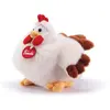 Image de Peluche Trudi - Poule Daisy